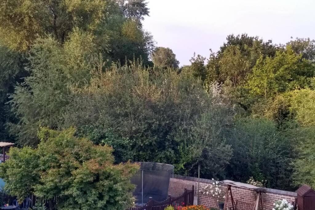 Luxury Townhouse In Town Centre, Views, River Walk, Free Parking Shrewsbury Kültér fotó
